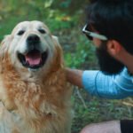 Choosing Healthy Treats for Your Pet