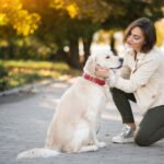5 Healthy Ways to Reward Your Pet